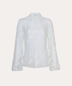 Deniscarl.shop955b8910c5 1